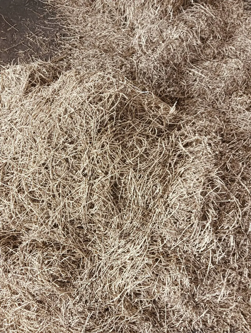 Pile of brass turnings
